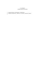 Zygmuntas Baumanas 6 puslapis