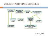 Voliuntaristinis sveikatos mokymo modelis  3 puslapis
