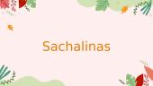 Viskas apie Sachaliną