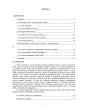 Garantijos komandiruotiems asmenims pagal ES teisę 2 puslapis