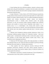 Garantijos komandiruotiems asmenims pagal ES teisę 19 puslapis