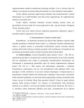 Garantijos komandiruotiems asmenims pagal ES teisę 5 puslapis