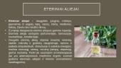 Aliejus - istorija, sandara, gamyba bei produktai 12 puslapis
