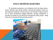Verslo įmonė, kuri teikia paslaugas, vykdo prekybą elektroniniu būdu 4 puslapis
