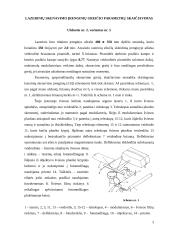 Lazerinių skenavimo įrenginių greičio parametrų skaičiavimas 2 puslapis