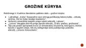 Vinco Kudirkos asmenybė ir jo veikla Lietuvos tautinio atgimimo laikotarpiu  3 puslapis