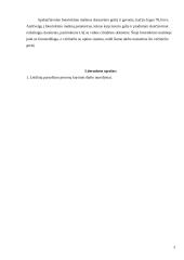 Lazerinių skenavimo įrenginių greičio parametrų tyrimas 3 puslapis