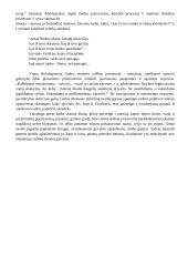 Modernioji XX a. antrosios pusės literatūra - Sigitas Geda 3 puslapis