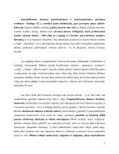 Jono Biliūno biografija ir kūrybos bruožai 2 puslapis