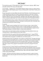 "Fausto" apibendrinimas