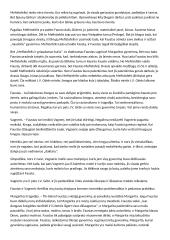 "Fausto" apibendrinimas 3 puslapis