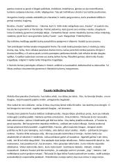 "Fausto" apibendrinimas 4 puslapis