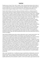 "Fausto" apibendrinimas 6 puslapis