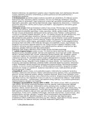Virusai ir bakterijos. Konspektas 3 puslapis