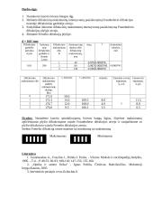 Lazerio šviesos difrakcijos apskaičiavimas 2 puslapis