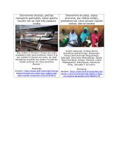 Išsivysčiusių ir besivystančių šalių bruožai 3 puslapis