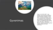 Icchokas Meras ir Primas Levis 2 puslapis