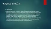 Knygos "Trys draugai" apžvalga 13 puslapis