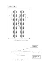 Litavimo darbai 8 puslapis