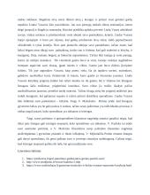 Savęs pažinimo ir apsisprendimo kelias lietuvių literatūroje (V. Mykolaitis- Putinas) 3 puslapis