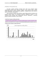 Žemė - žmonių planeta 2 puslapis