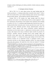 Teisės ir įstatymų analogijos taikymas 19 puslapis