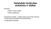 Valstybė ir rinka 7 puslapis