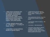 Frankų imperija 15 puslapis