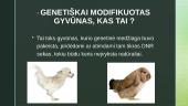 Genetiškai modifikuoti gyvūnai bei jų reikšmė 2 puslapis