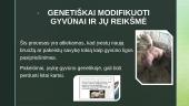 Genetiškai modifikuoti gyvūnai bei jų reikšmė 3 puslapis