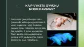 Genetiškai modifikuoti gyvūnai bei jų reikšmė 4 puslapis