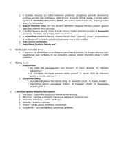 Vinco Kudirkos kontekstai 2 puslapis