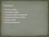 Kovinė partizanų veikla 2 puslapis