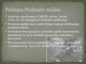 Kovinė partizanų veikla 6 puslapis