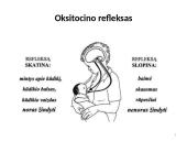 Kūdikių maitinimas: žindymas arba natūralus maitinimas, maitinimas pro zondą 12 puslapis