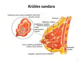 Kūdikių maitinimas: žindymas arba natūralus maitinimas, maitinimas pro zondą 10 puslapis