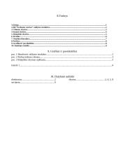 Automatinis turinio sudarymas programoje “Microsoft Word” 8 puslapis