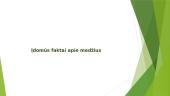 Pasaulio miškai 11 puslapis