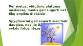 Pasaulio miškai 14 puslapis