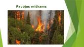Pasaulio miškai 18 puslapis