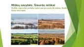 Pasaulio miškai 8 puslapis