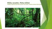 Pasaulio miškai 9 puslapis