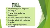 Pasaulio miškai 10 puslapis