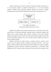 Ilgalaikio turto apskaita Lietuvos Respublikoje 12 puslapis