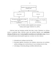 Ilgalaikio turto apskaita Lietuvos Respublikoje 17 puslapis