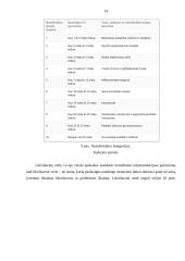 Ilgalaikio turto apskaita Lietuvos Respublikoje 19 puslapis