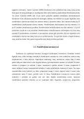 Ilgalaikio turto apskaita Lietuvos Respublikoje 20 puslapis