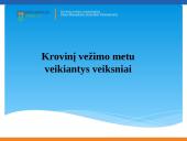 Krovinių vežimo technologijos 2 puslapis