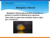 Krovinių vežimo technologijos 14 puslapis