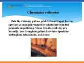 Krovinių vežimo technologijos 15 puslapis